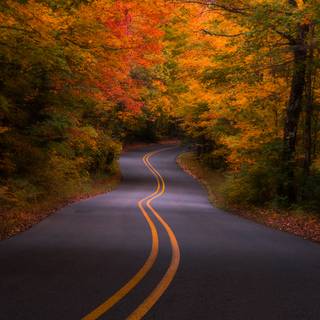 Autumn USA wallpaper