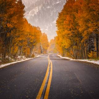 Autumn USA wallpaper