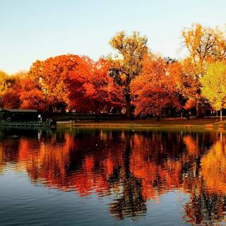 Boston autumn wallpaper