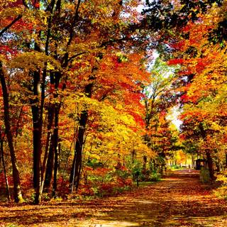 Autumn USA wallpaper