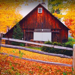 Autumn USA wallpaper