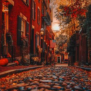 Boston autumn wallpaper