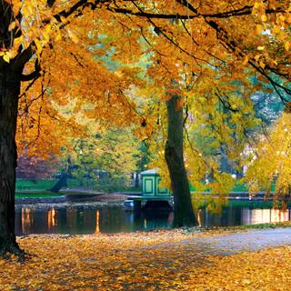 Boston autumn wallpaper