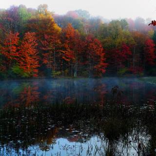 Autumn USA wallpaper