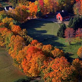 Boston autumn wallpaper