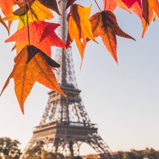 Paris autumn wallpaper