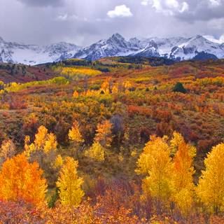 Autumn USA wallpaper