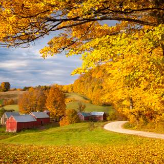 Autumn USA wallpaper