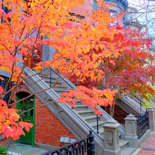 Boston autumn wallpaper