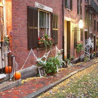 Boston autumn wallpaper