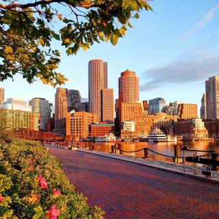 Boston autumn wallpaper