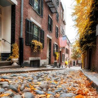 Boston autumn wallpaper