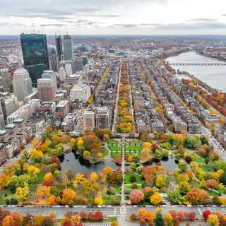 Boston autumn wallpaper