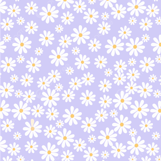 Purple daisy wallpaper
