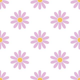 Purple daisy wallpaper