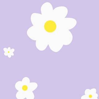 Purple daisy wallpaper