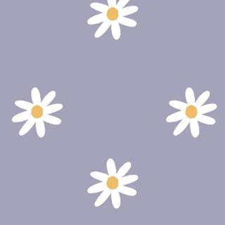 Purple daisy wallpaper