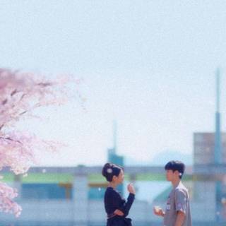 Kdramas aesthetic wallpaper