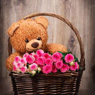 Teddy bear 4k wallpaper