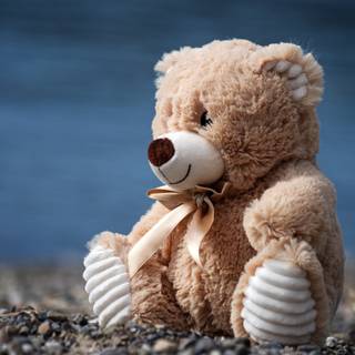 Teddy bear 4k wallpaper