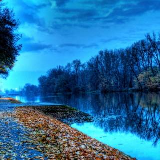 Blue autumn wallpaper