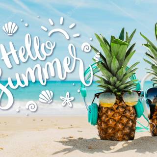 Hello summer tropical wallpaper