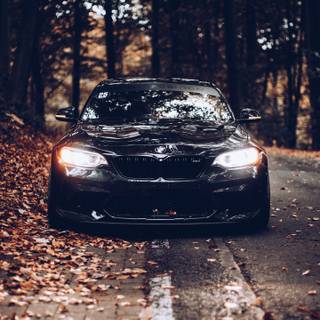 Autumn cars wallpaper