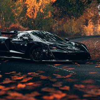 Autumn cars wallpaper
