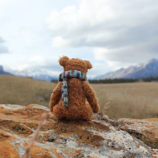 Teddy bear 4k wallpaper