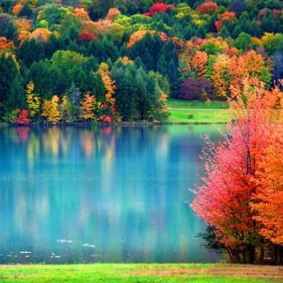 Autumn green wallpaper