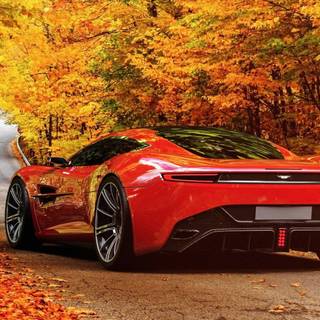 Autumn cars wallpaper