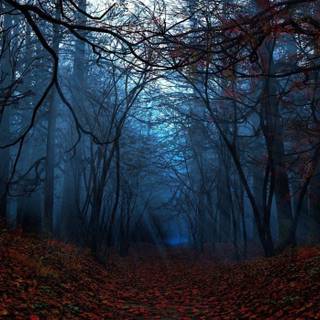 Blue autumn wallpaper