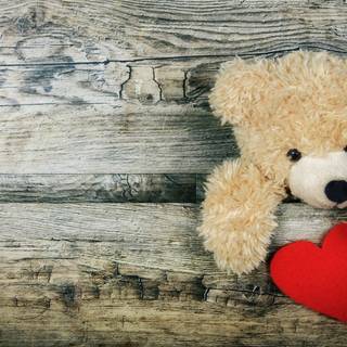 Teddy bear 4k wallpaper