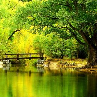 Autumn green wallpaper