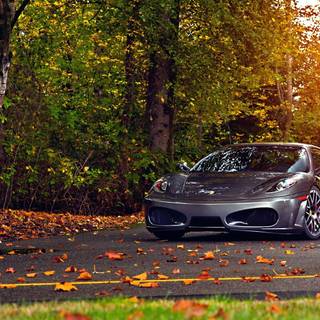 Autumn cars wallpaper