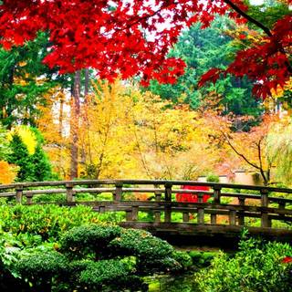 Autumn green wallpaper