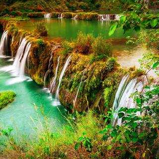 Autumn green wallpaper