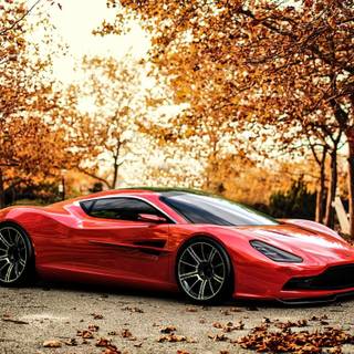 Autumn cars wallpaper