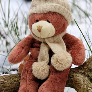 Teddy bear 4k wallpaper