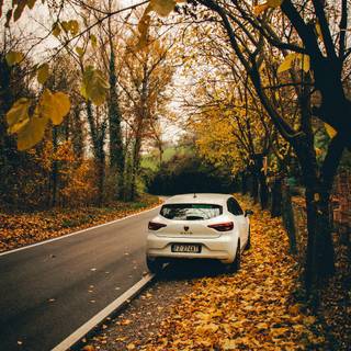 Autumn cars wallpaper