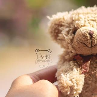 Teddy bear 4k wallpaper