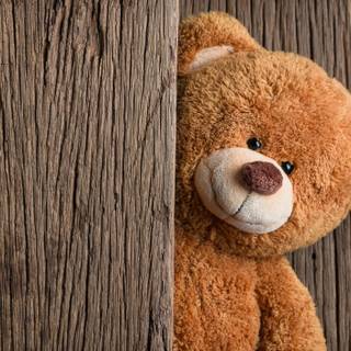 Teddy bear 4k wallpaper