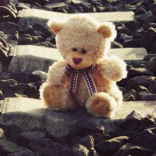 iPhone teddy bear wallpaper