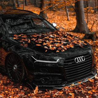 Autumn cars wallpaper
