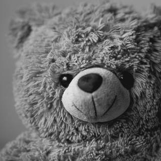 Teddy bear 4k wallpaper