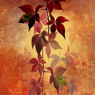 Autumn glitter wallpaper