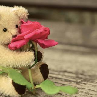 Teddy bear 4k wallpaper