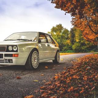 Autumn cars wallpaper