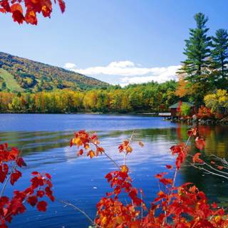 Blue autumn wallpaper