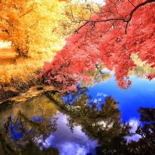 Blue autumn wallpaper